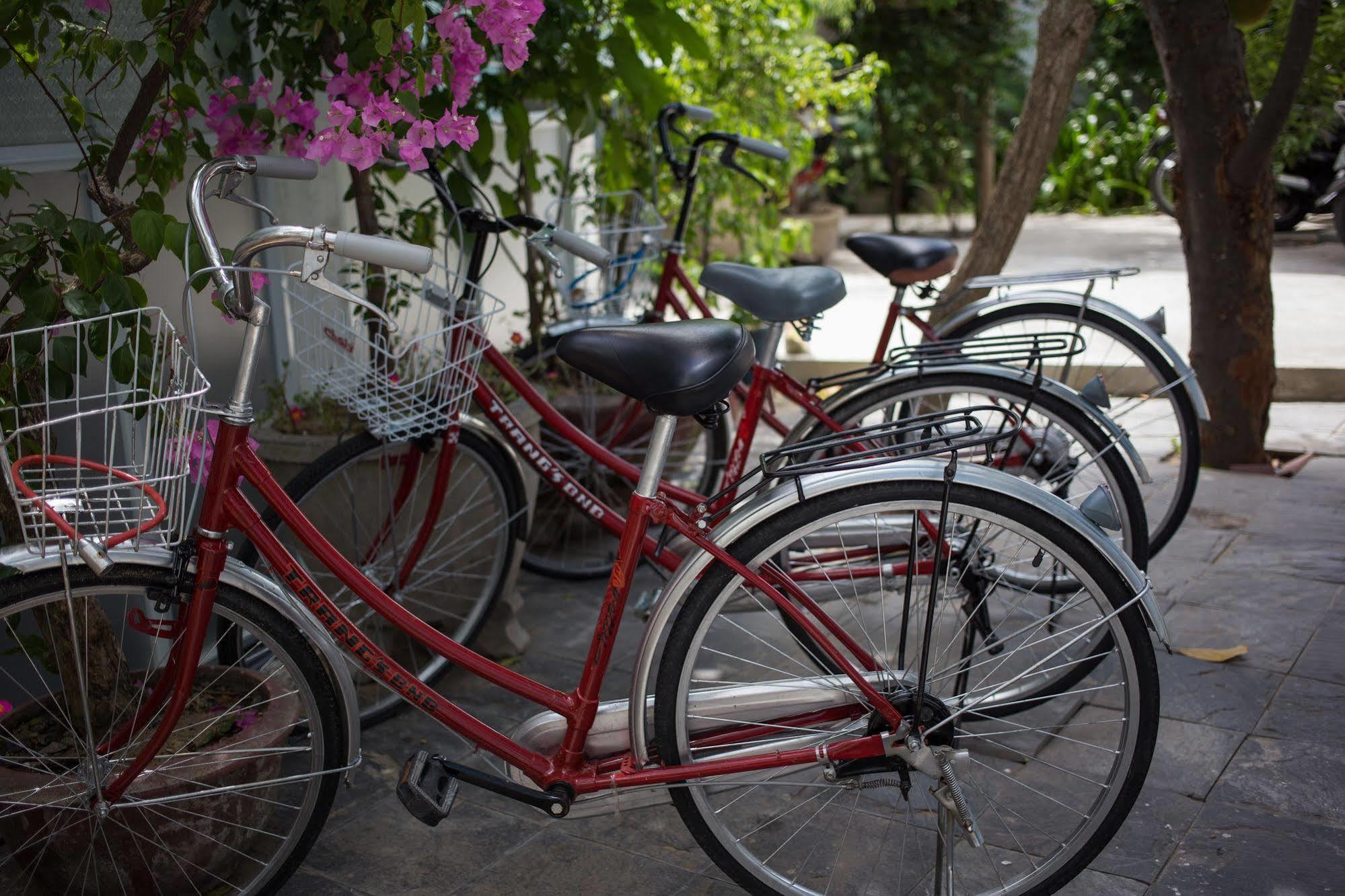 Quynh Long Villa Hoi An Zewnętrze zdjęcie